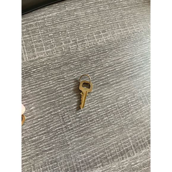 LOUIS VUITTON Set Of Keys #304 - Picture 3 of 4
